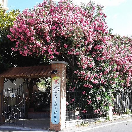 Orchidea Residence Hotel Finale Ligure Eksteriør billede